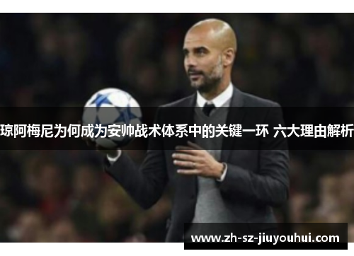 琼阿梅尼为何成为安帅战术体系中的关键一环 六大理由解析 琼阿梅尼为何成为安帅战术体系中的关键一环 六大理由解析
